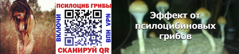 Галлюциногенные грибы Magic Shrooms  цена наркотик  Козловка 