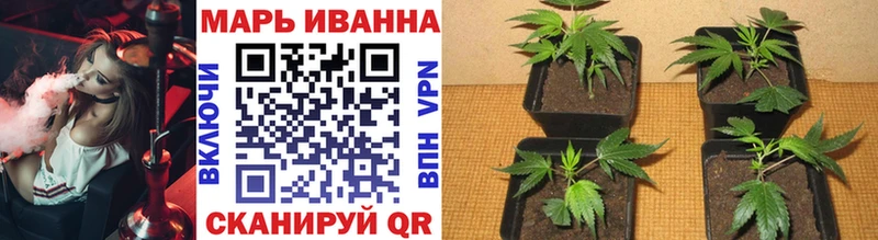 Канабис конопля  Козловка 